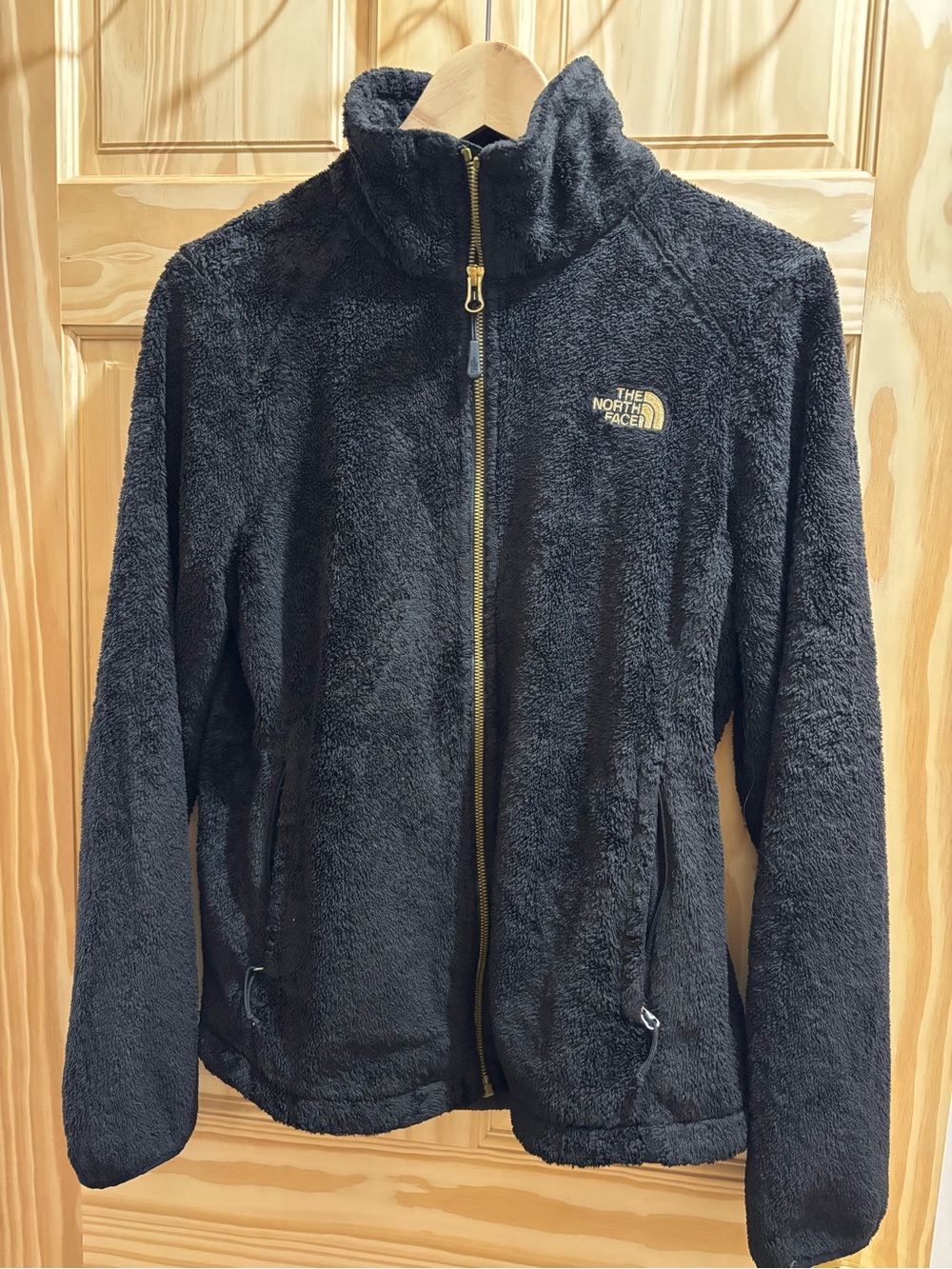 The North Face Women's Black Teddy Fleece Jacket